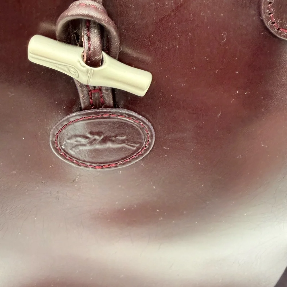 Elegant Longchamp burgundy Leather Handbag